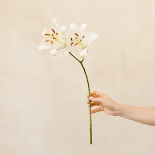 Ramo de Liliums Blancos. 3u