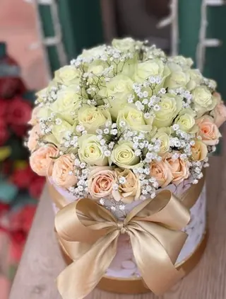 Paradis Des Roses