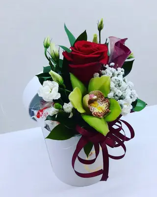 Cutie mix 15
