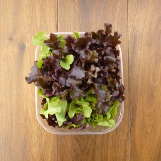 Insalatina al taglio vaschetta