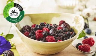 FRUTTI DI BOSCO BIO (15889)