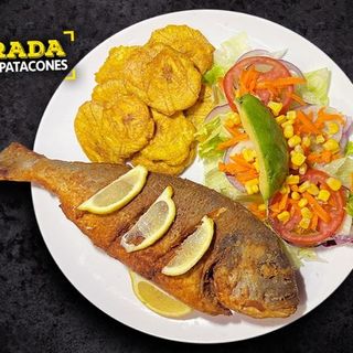 Dorada al vapor o frita