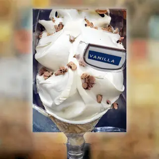 Vanilla