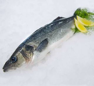 46 - Spigole 1 kg