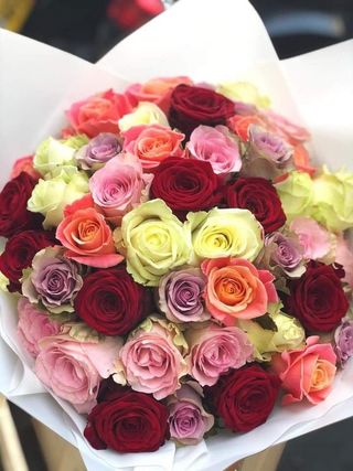 Symphonie De Couleurs – 50 Roses