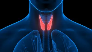 Thyroid Analysis