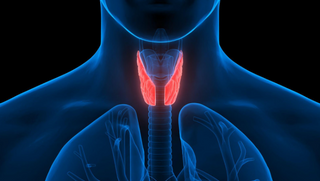Thyroid Analysis