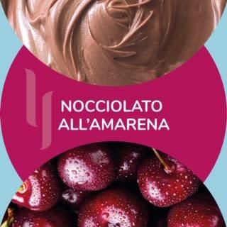 Barattolino ''Nocciolato all'amarena'' 500 gr
