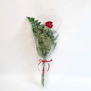 Una Rosa Roja