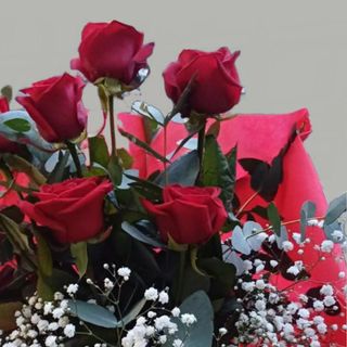 Rosso Incanto 5 rose rosse