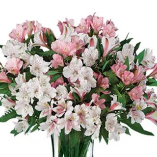 Bouquet alstroemerie 