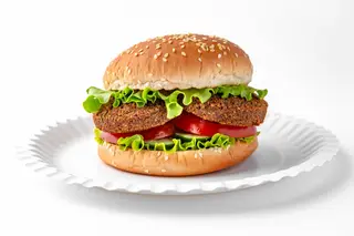 Mr.Falafel Burger