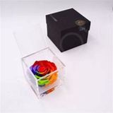 Rosa preservada Flowercube 10x10 Color Multicolor