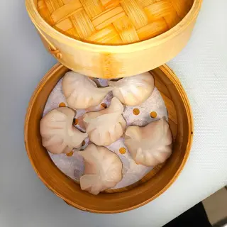 20 yutubao