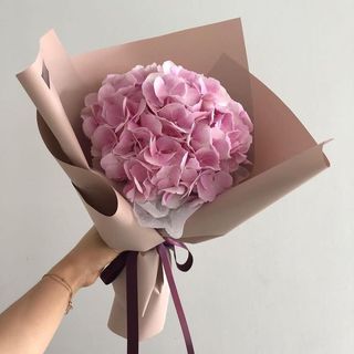 ჰოლანდიური ჰორტენზია (1 ტოტი)