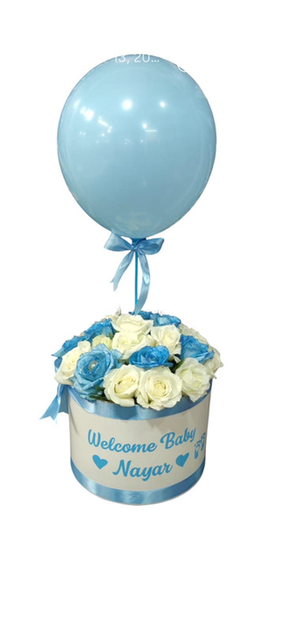 Welcome Baby
