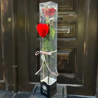ROSA INDIVIDUAL 