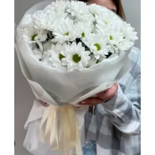 ჰოლანდიური ქრიზანთემები