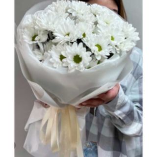 ჰოლანდიური ქრიზანთემები