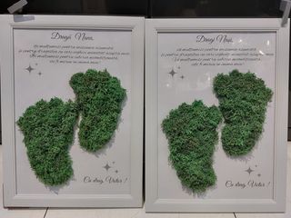 Tablou cu licheni picioruse