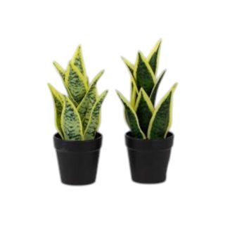Vaso Sansevieria Mix - ARTIFICIAL