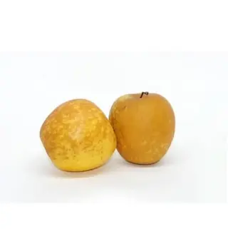 Manz. Golden Rosseti Peso Estimado 500 Gr.