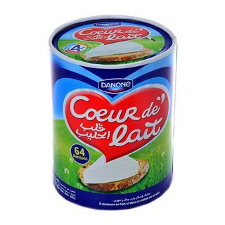 Fromage fondu 64 portions - CŒUR DE LAIT