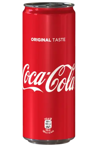 Coca-Cola Lattina 330 ml