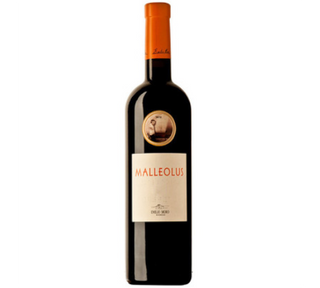 Malleolus 75Cl.