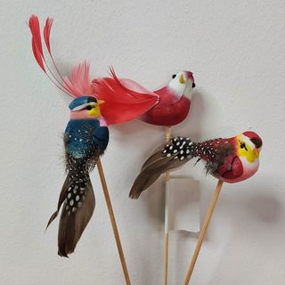 Pajaritos plumas largas