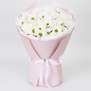 7 ромашкових хризантем