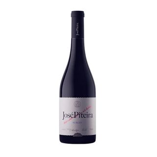 José Piteira Syrah