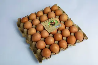 EGGS 