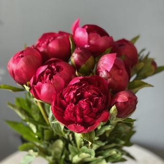 Buchet 9 Bujori Grena