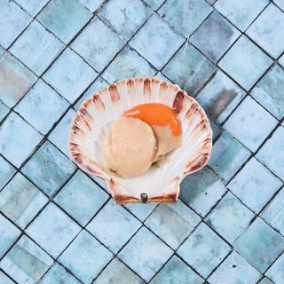 Capasanta mezzo guscio 1 pezzo