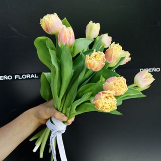 Ramo de 11 Tulipanes 