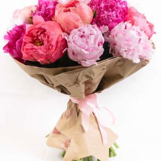 Solo peonie 
