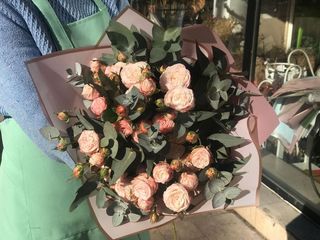 ვარდისფერი სპრეი(7 ცალი) M ზომა