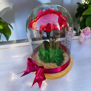 Cupola cu trandafir stabilizat