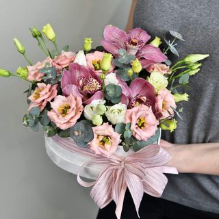 Zanosna kreacija u plišanom box-u