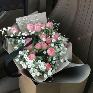 ჯუჯა ვარდი და  გიფსოფილა