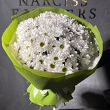 11 хризантем у пакуванні 