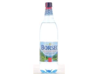 Apa Minerala Carbogazoasa Borsec 1L