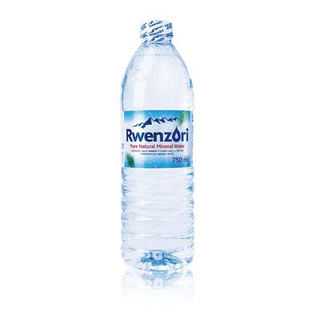 Rwenzori Water 500 ml PET