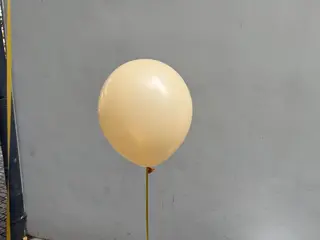 ყვიტელი ბუშტი