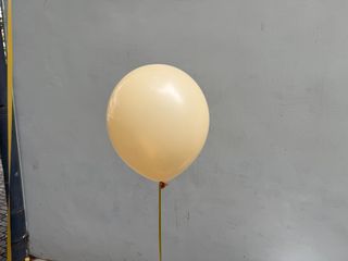 ყვიტელი ბუშტი