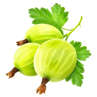 Аґрус (100 г)
