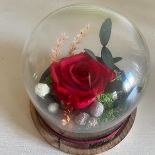 Cúpula con rosa eterna tamaño S