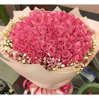 40 Stem Baby Pink Roses