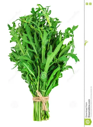 Rucola fresca